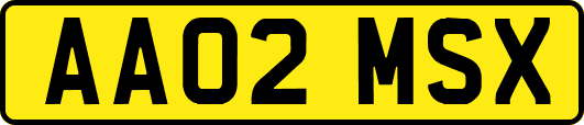 AA02MSX