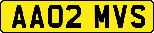 AA02MVS