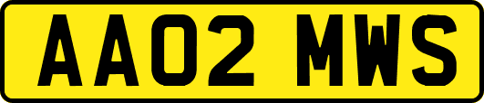 AA02MWS