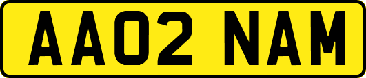 AA02NAM