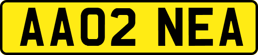 AA02NEA