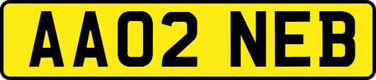 AA02NEB