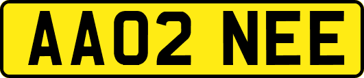 AA02NEE