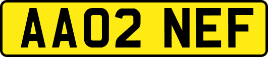 AA02NEF