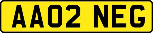AA02NEG
