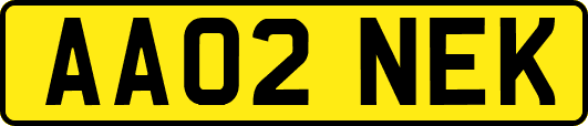 AA02NEK