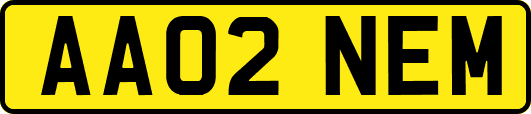 AA02NEM