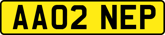 AA02NEP