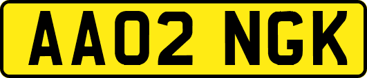 AA02NGK