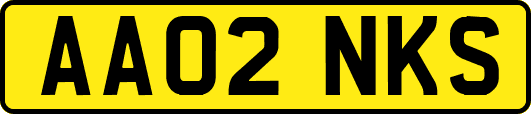 AA02NKS