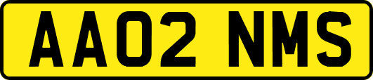 AA02NMS