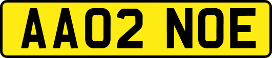 AA02NOE
