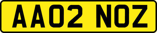 AA02NOZ
