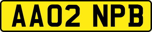 AA02NPB