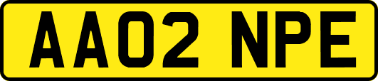 AA02NPE