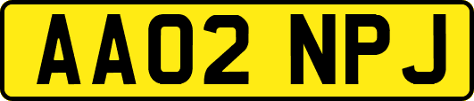 AA02NPJ