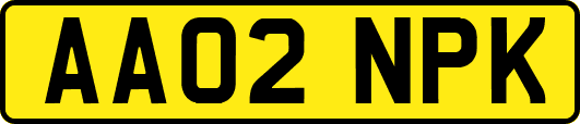 AA02NPK