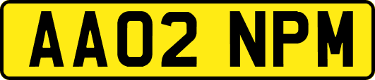 AA02NPM