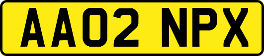 AA02NPX