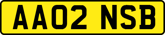 AA02NSB