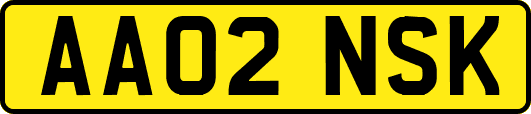 AA02NSK