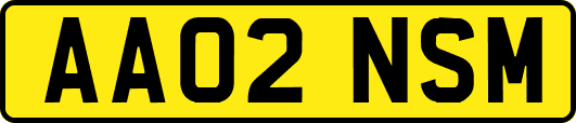 AA02NSM