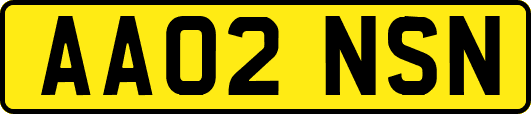 AA02NSN