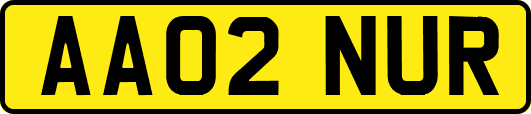 AA02NUR