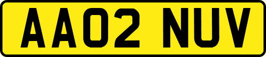AA02NUV