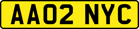 AA02NYC