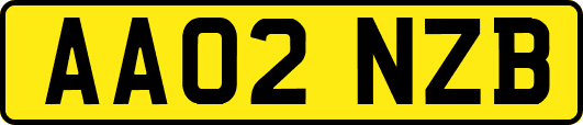 AA02NZB