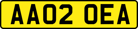AA02OEA