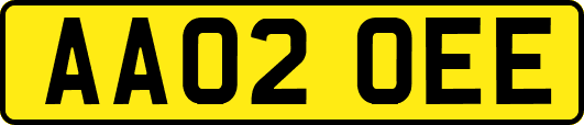 AA02OEE