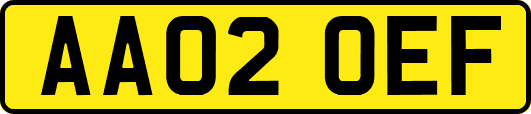 AA02OEF