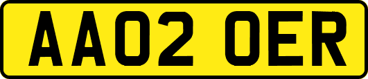 AA02OER