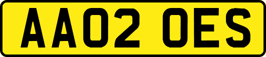 AA02OES