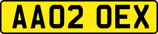 AA02OEX