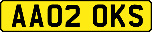 AA02OKS