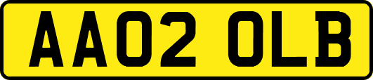 AA02OLB