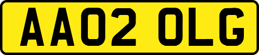 AA02OLG