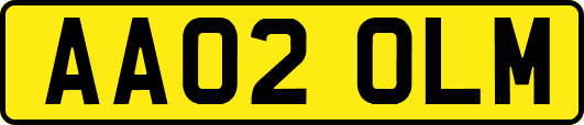 AA02OLM