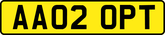 AA02OPT