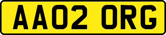 AA02ORG