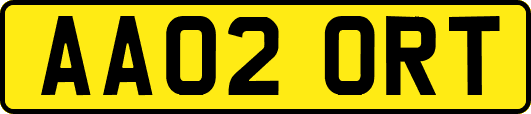 AA02ORT