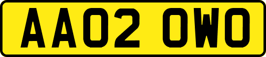 AA02OWO