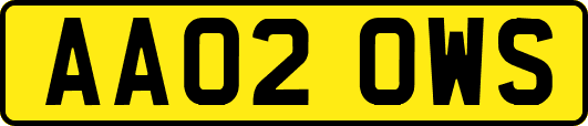 AA02OWS