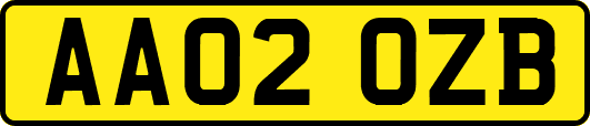 AA02OZB