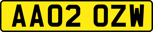 AA02OZW