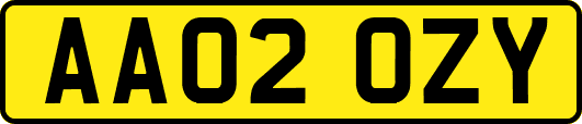 AA02OZY