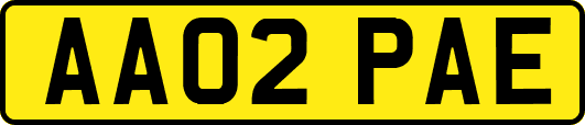AA02PAE